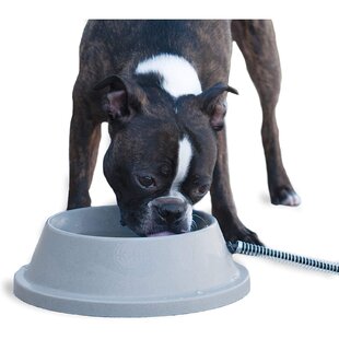 Heated dog on sale bowl battery powered